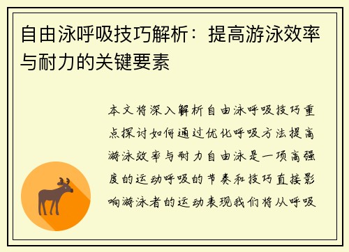 自由泳呼吸技巧解析：提高游泳效率与耐力的关键要素